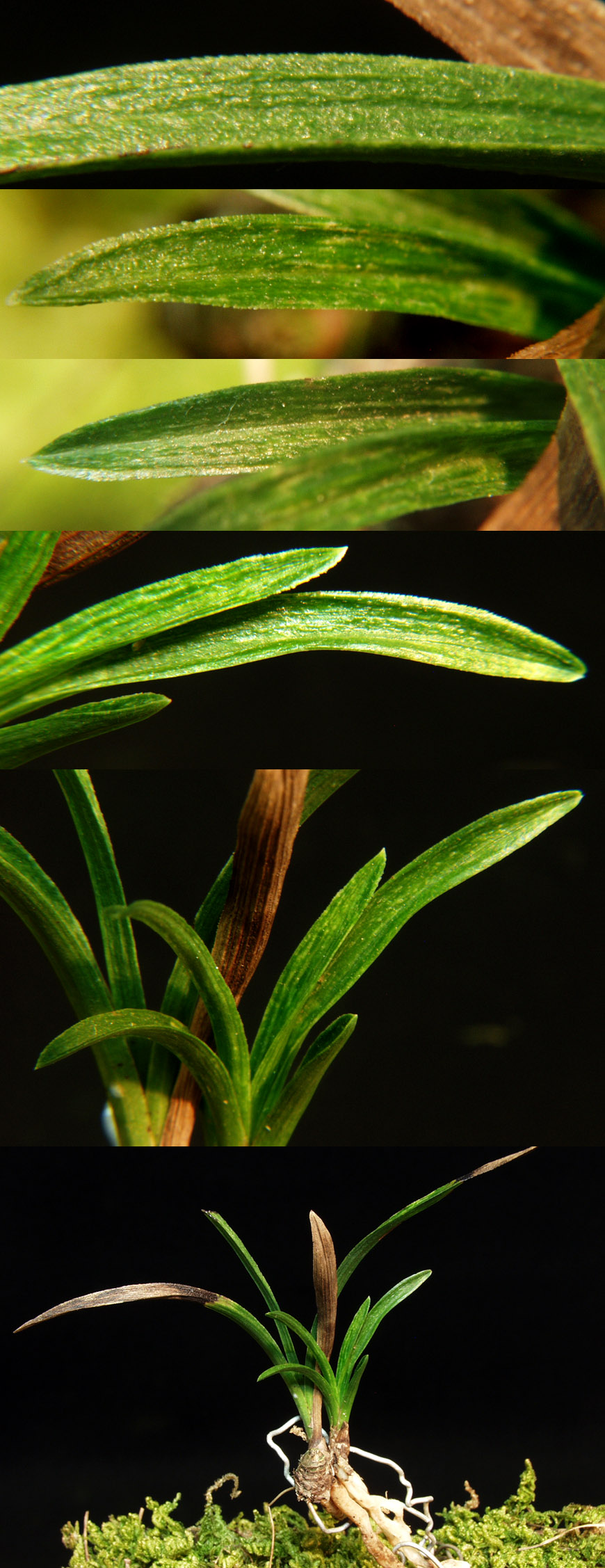 ������ ū������ �� �� �ֽ��ϴ�.