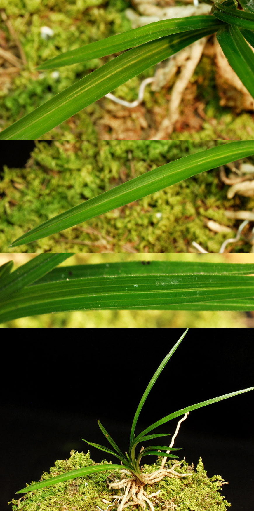 ������ ū������ �� �� �ֽ��ϴ�.