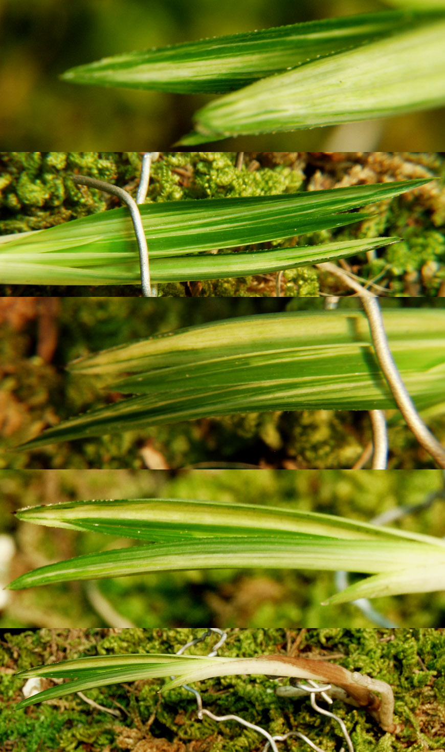 ������ ū������ �� �� �ֽ��ϴ�.