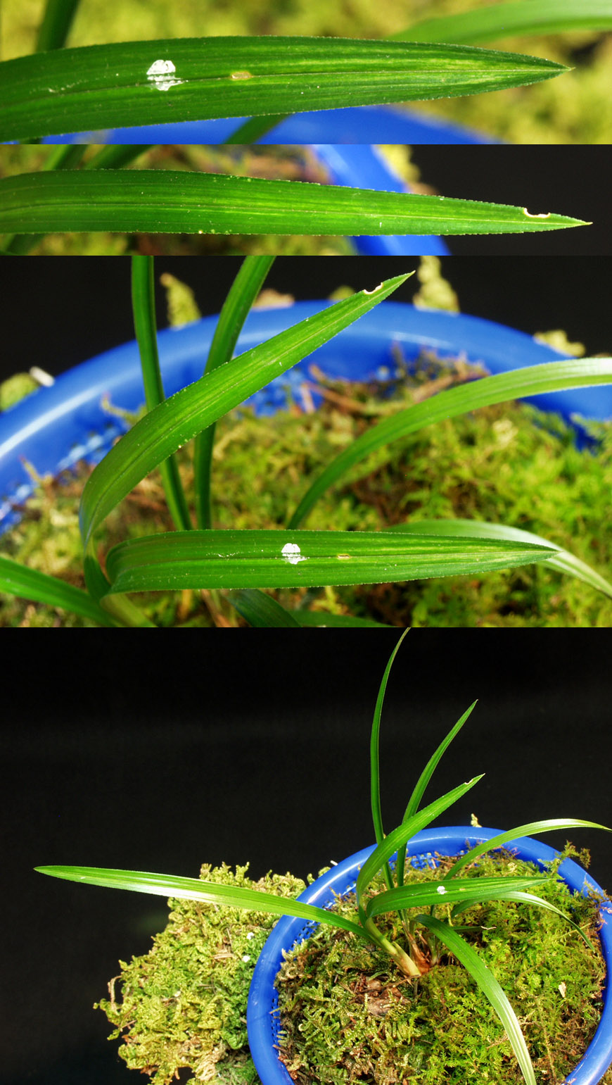 ������ ū������ �� �� �ֽ��ϴ�.