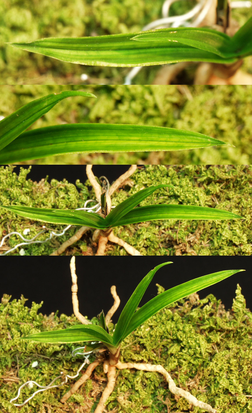 ������ ū������ �� �� �ֽ��ϴ�.