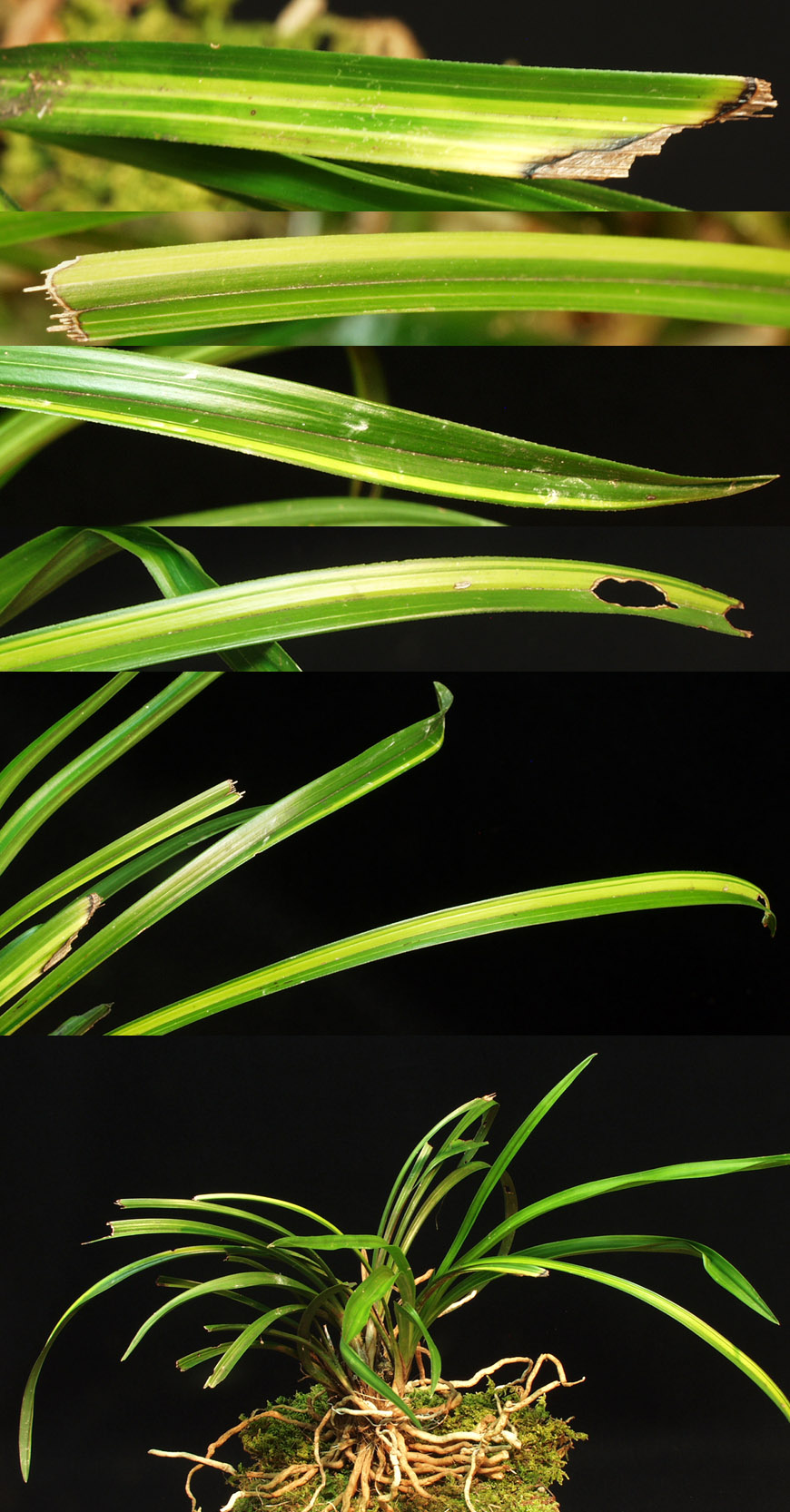 ������ ū������ �� �� �ֽ��ϴ�.