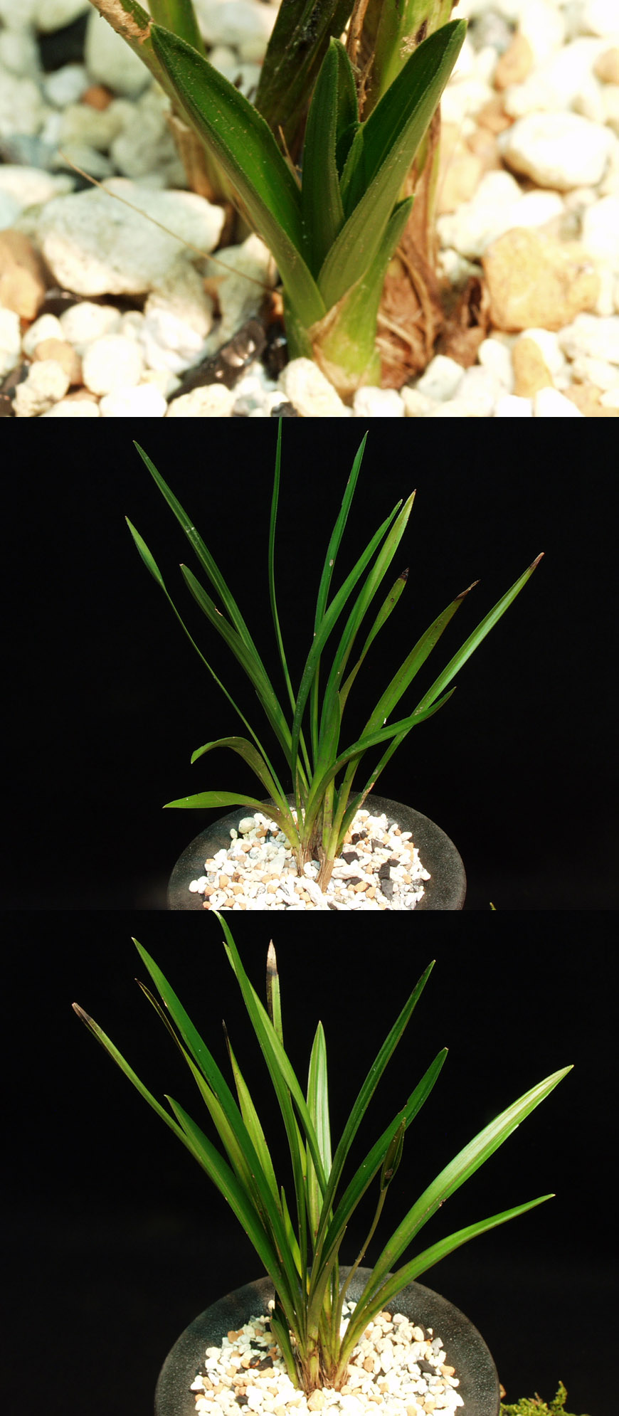 ������ ū������ �� �� �ֽ��ϴ�.