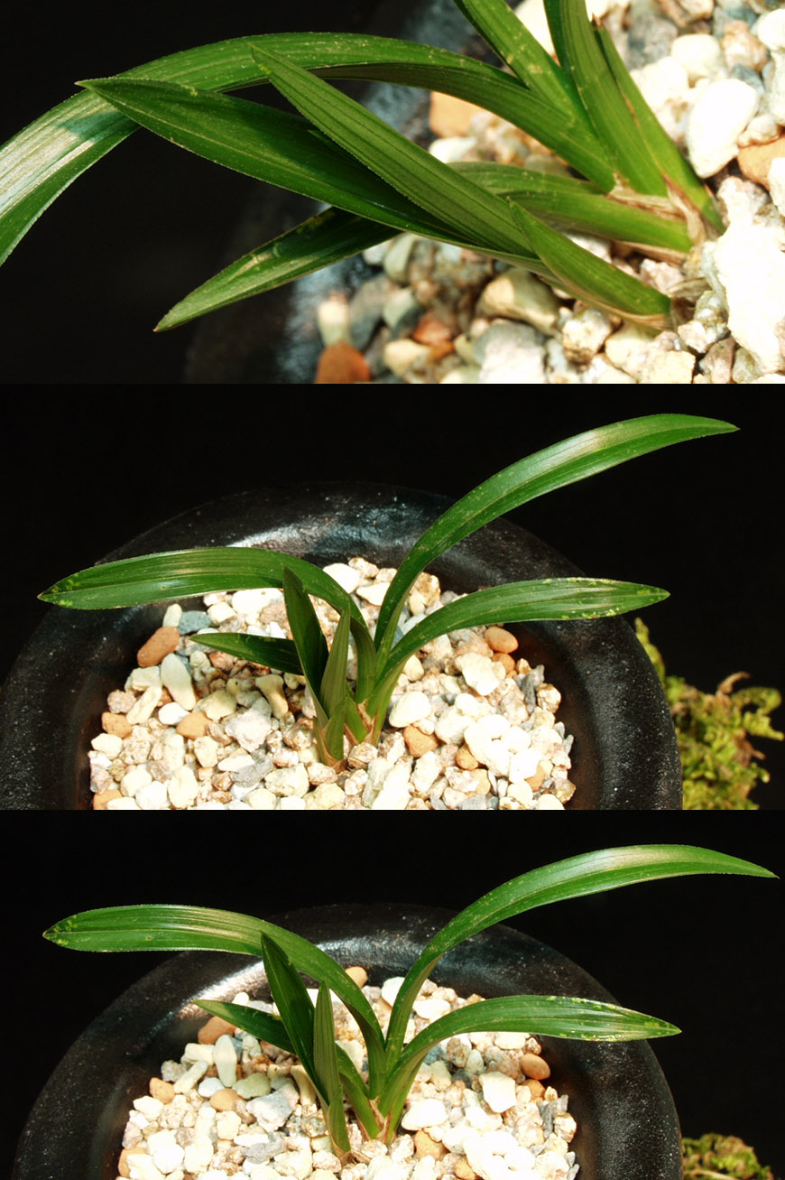 ������ ū������ �� �� �ֽ��ϴ�.