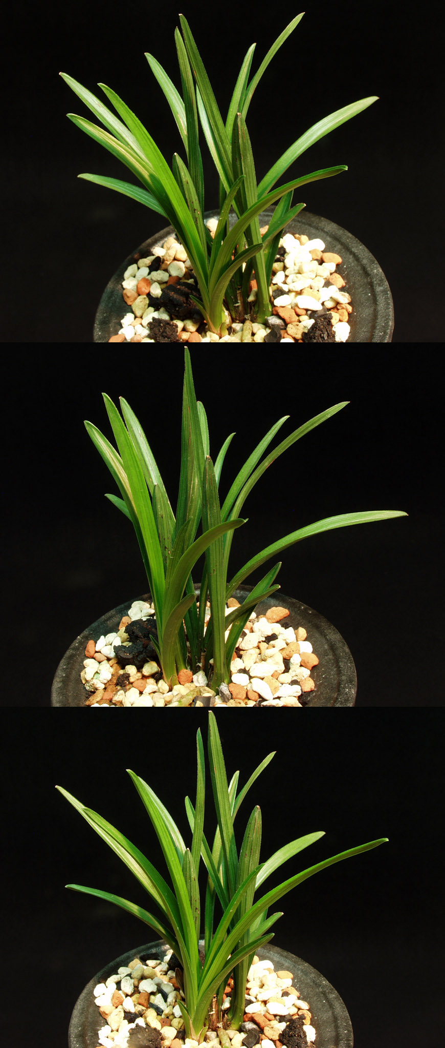 ������ ū������ �� �� �ֽ��ϴ�.