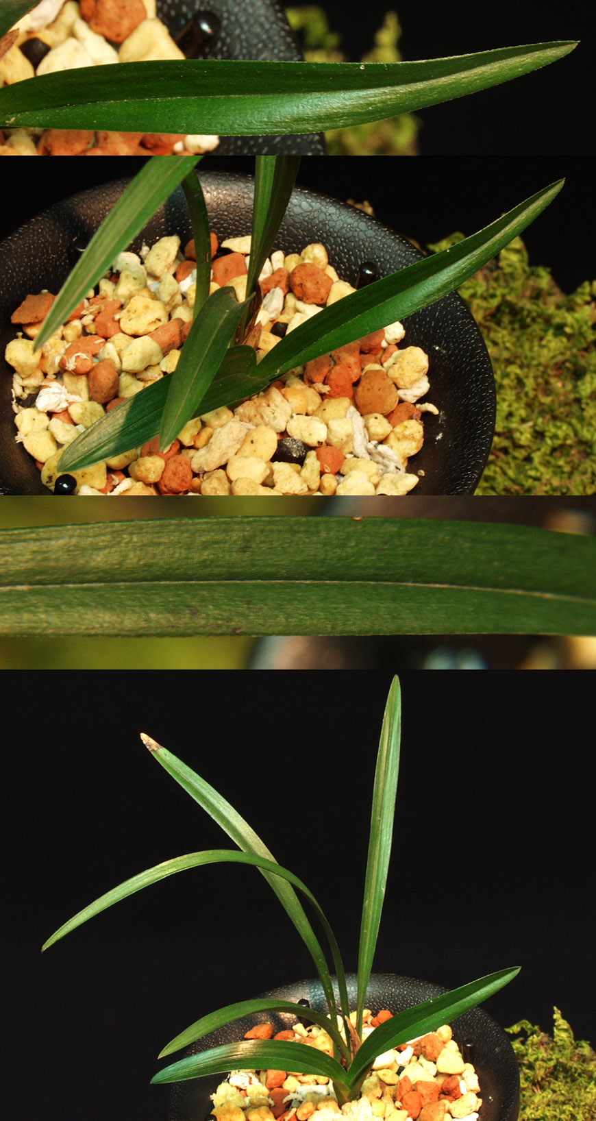 ������ ū������ �� �� �ֽ��ϴ�.