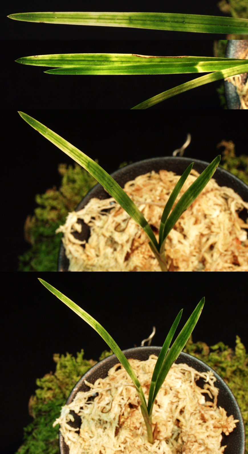 ������ ū������ �� �� �ֽ��ϴ�.