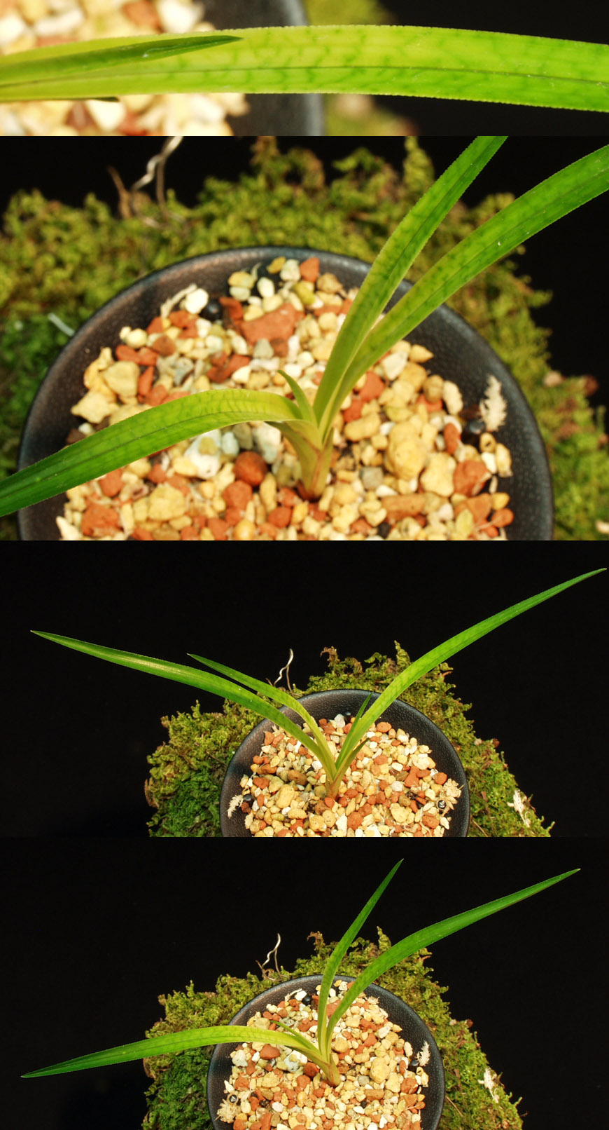 ������ ū������ �� �� �ֽ��ϴ�.