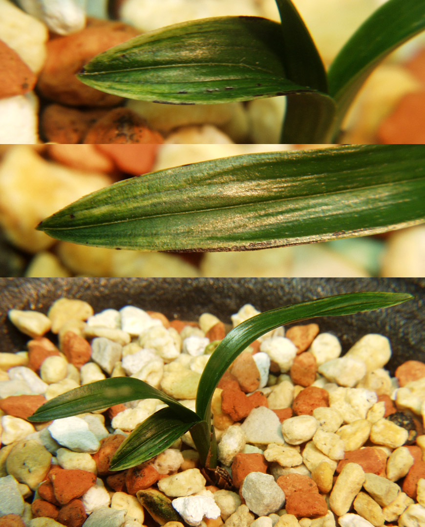 ������ ū������ �� �� �ֽ��ϴ�.