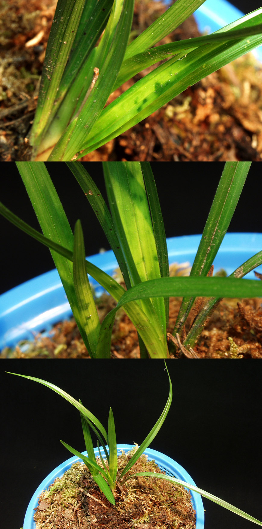 ������ ū������ �� �� �ֽ��ϴ�.