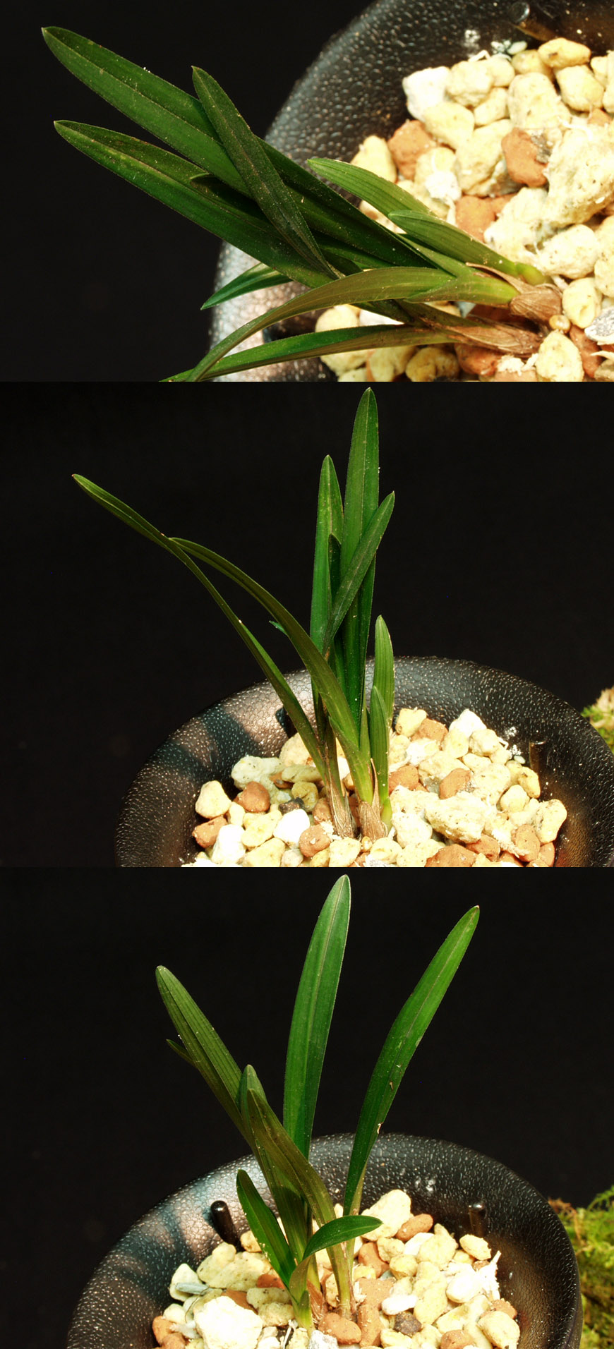 ������ ū������ �� �� �ֽ��ϴ�.