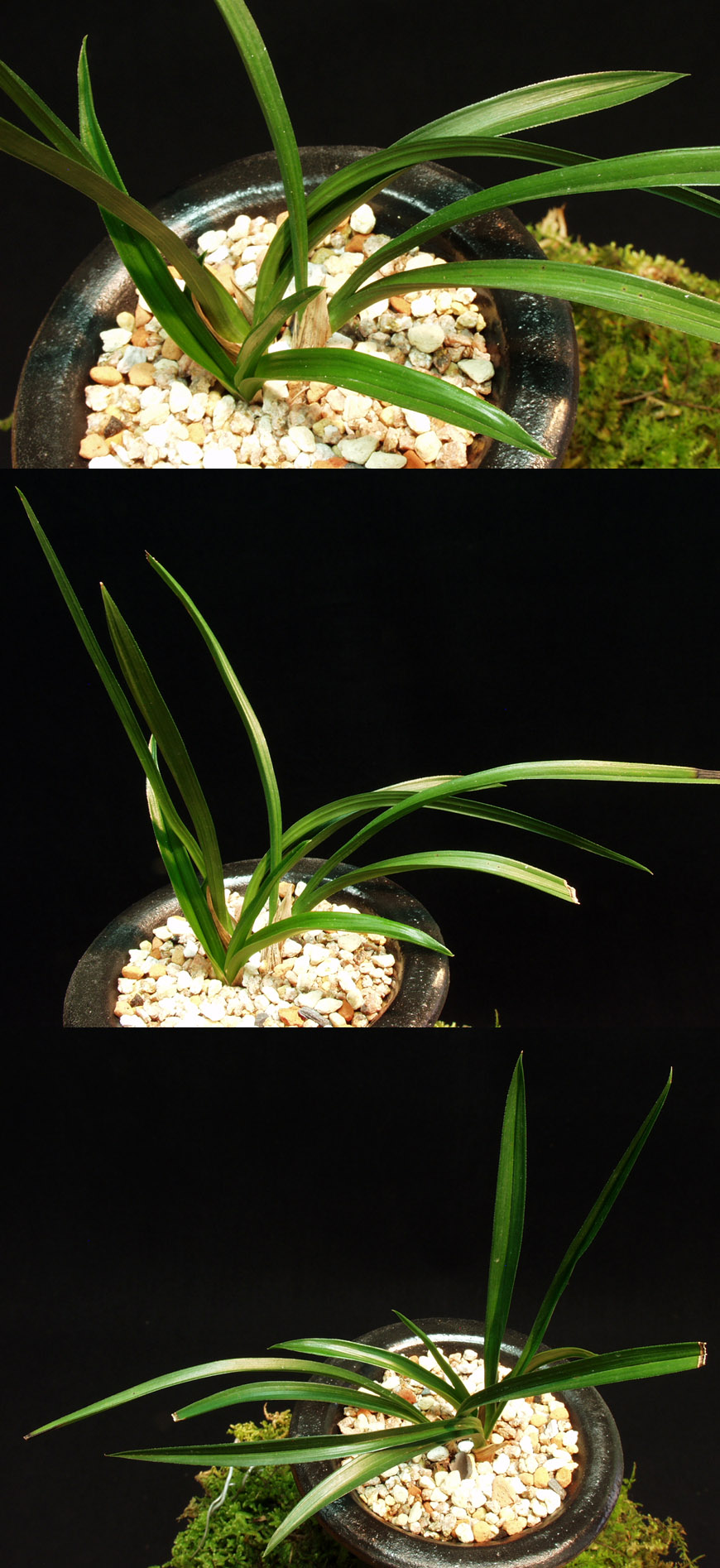 ������ ū������ �� �� �ֽ��ϴ�.