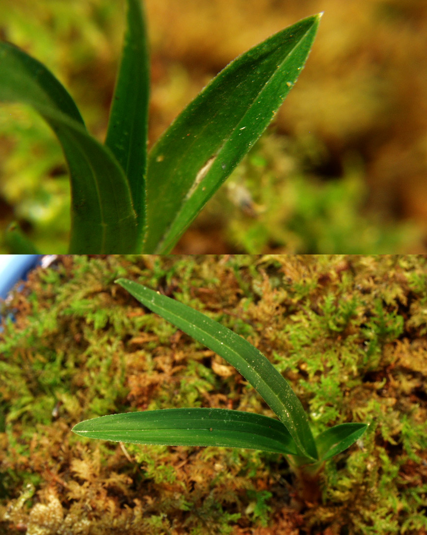 ������ ū������ �� �� �ֽ��ϴ�.