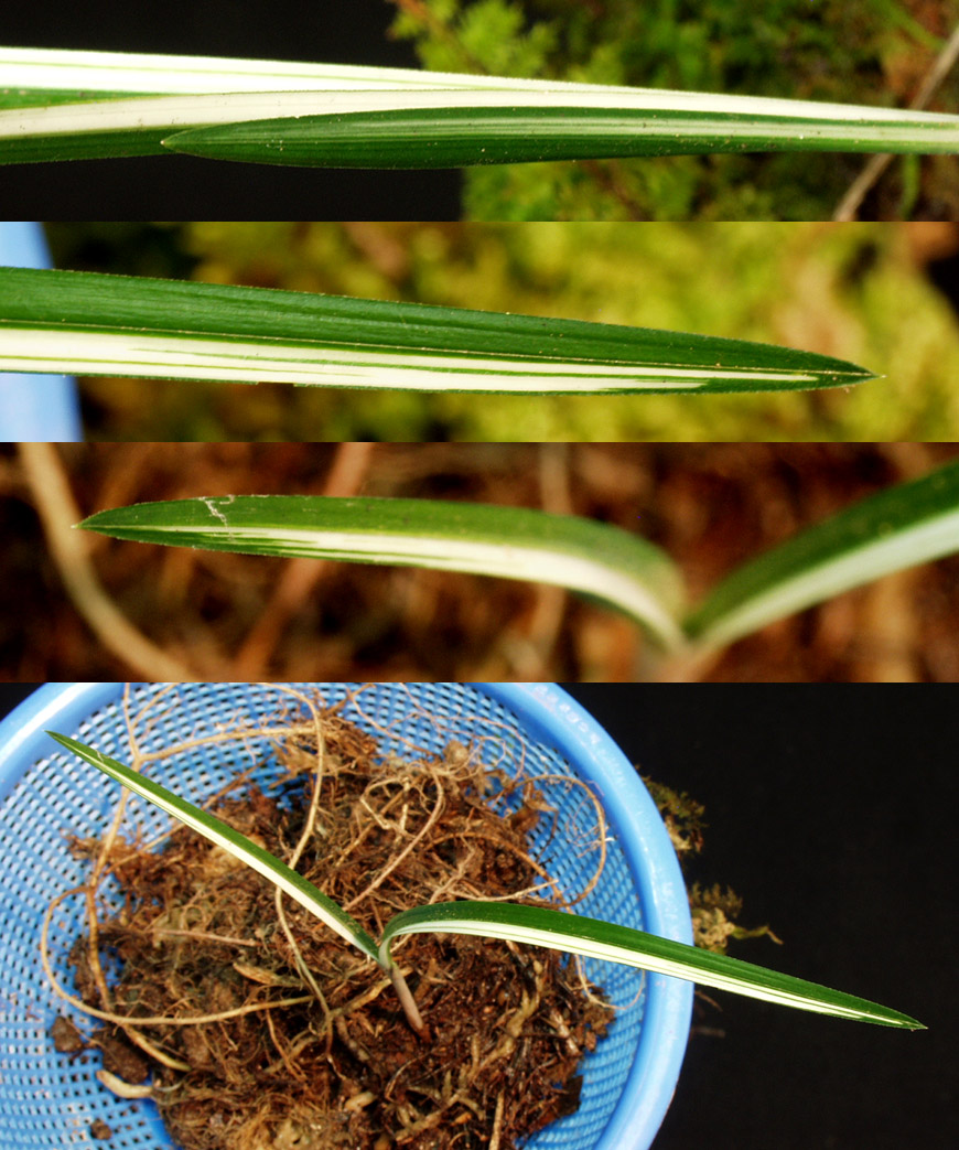 ������ ū������ �� �� �ֽ��ϴ�.