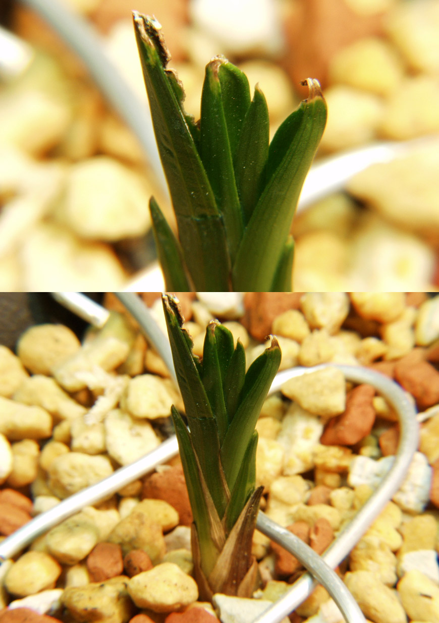 ������ ū������ �� �� �ֽ��ϴ�.