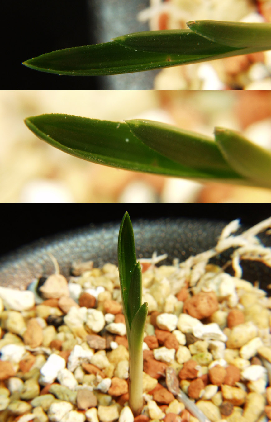 ������ ū������ �� �� �ֽ��ϴ�.