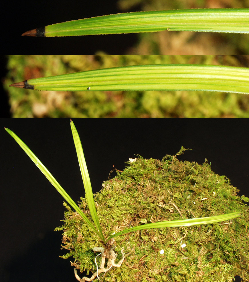 ������ ū������ �� �� �ֽ��ϴ�.