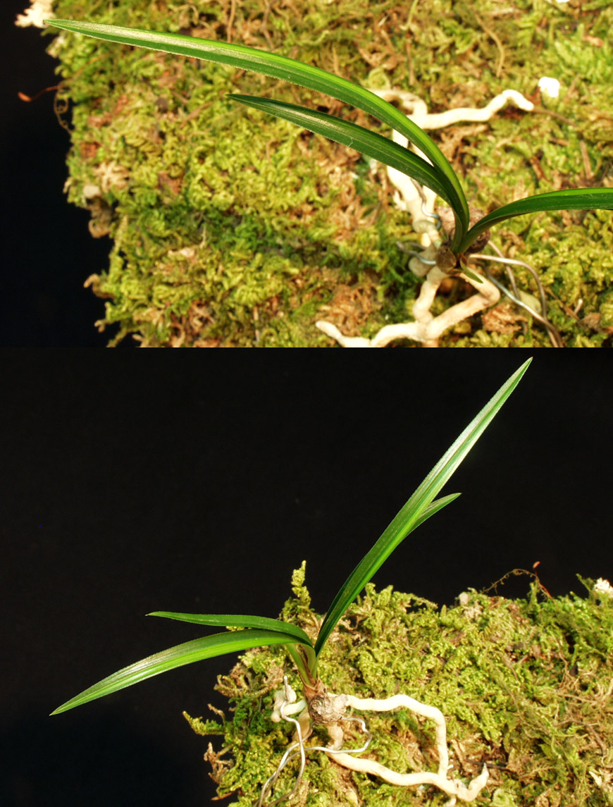 ������ ū������ �� �� �ֽ��ϴ�.