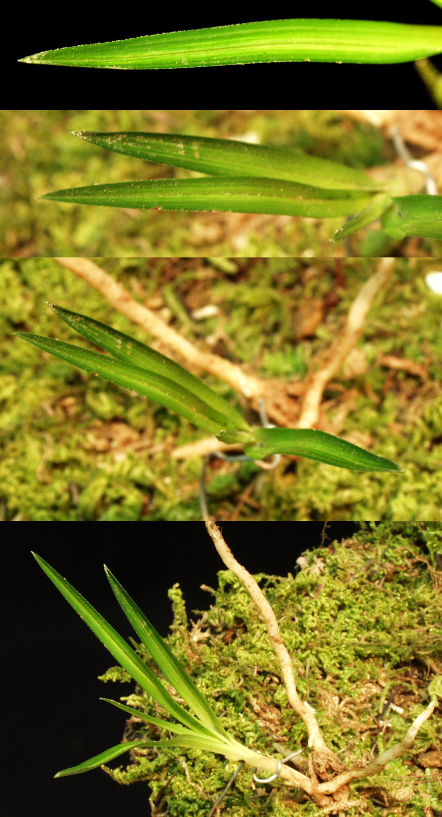 ������ ū������ �� �� �ֽ��ϴ�.