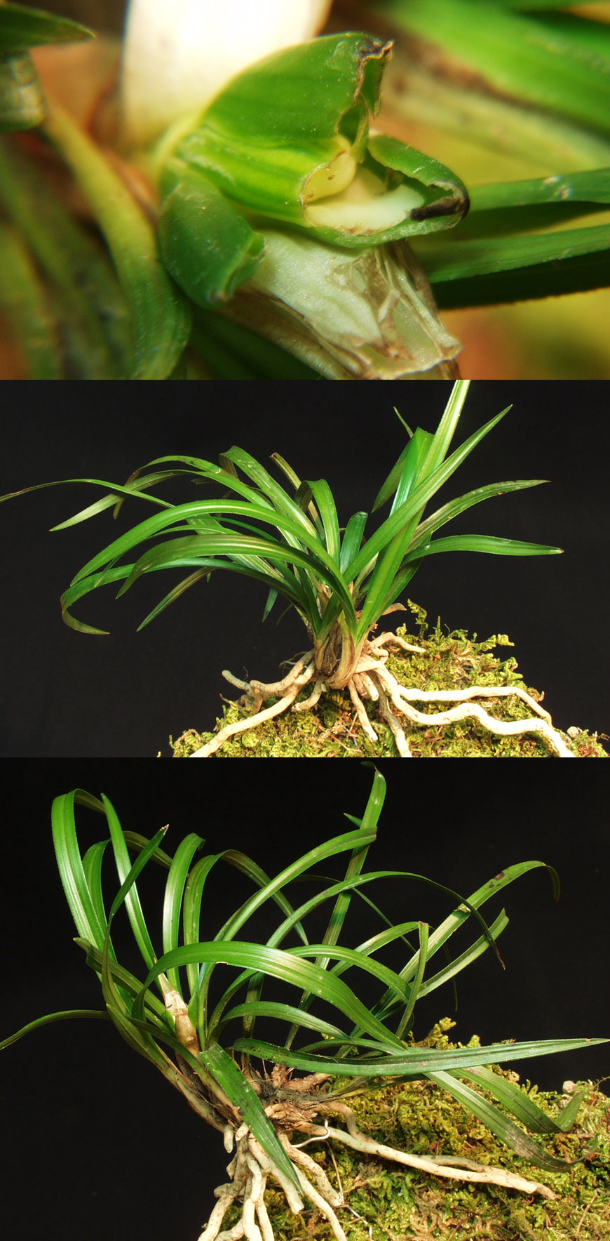 ������ ū������ �� �� �ֽ��ϴ�.