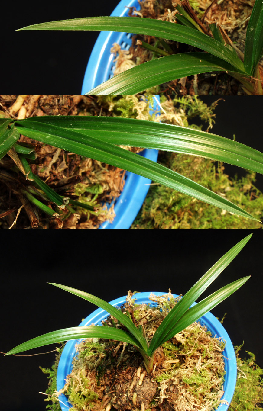 ������ ū������ �� �� �ֽ��ϴ�.