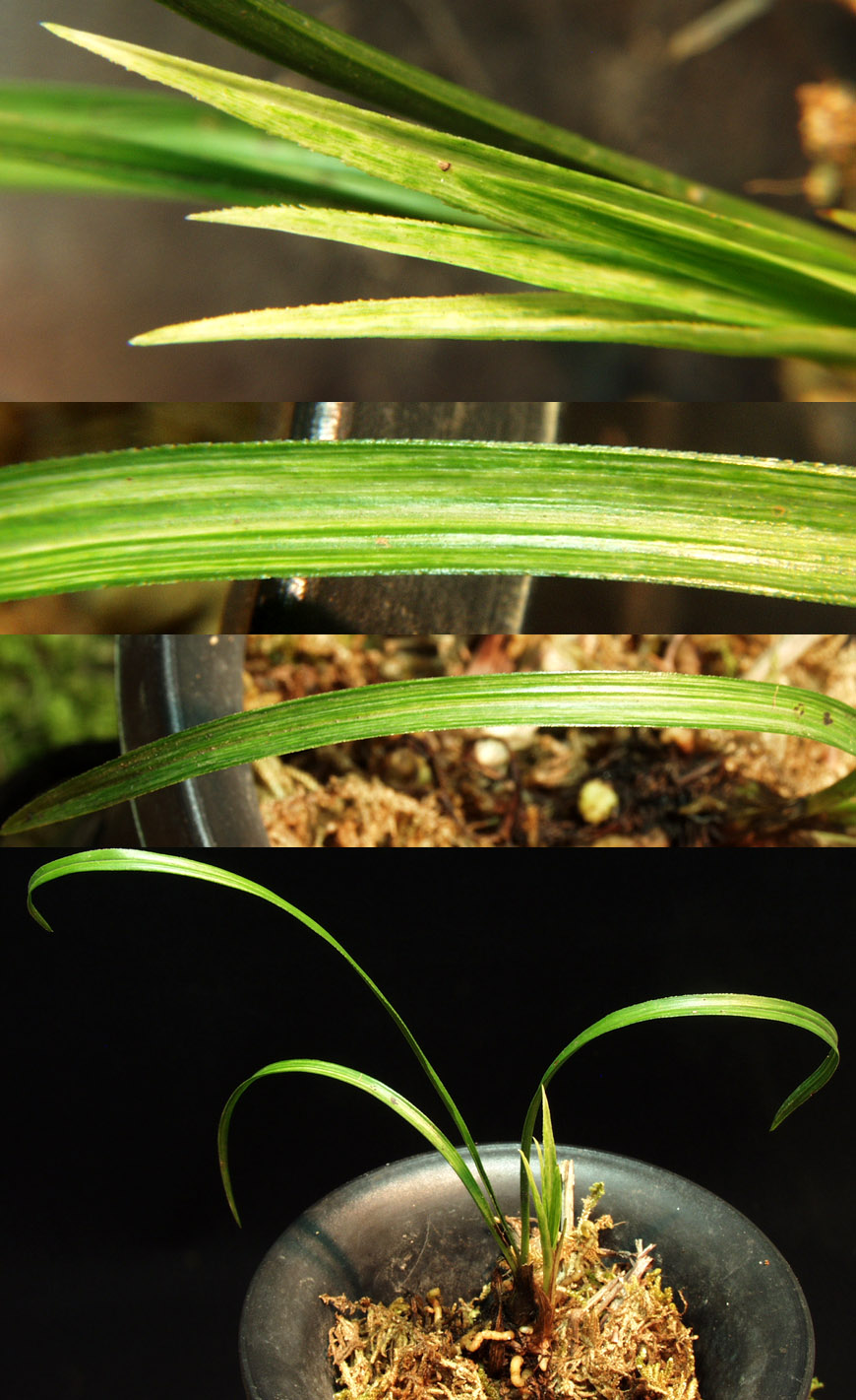 ������ ū������ �� �� �ֽ��ϴ�.