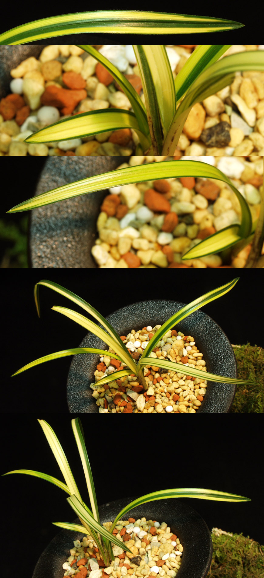 ������ ū������ �� �� �ֽ��ϴ�.