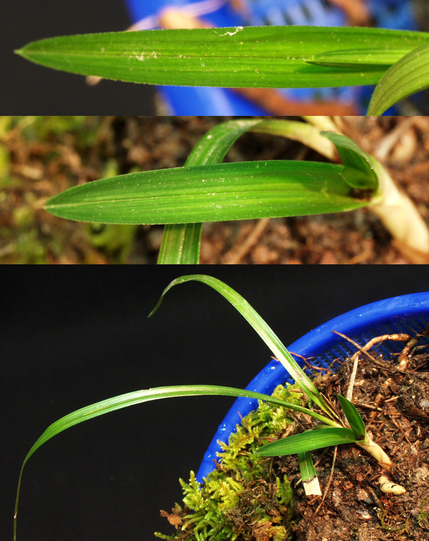 ������ ū������ �� �� �ֽ��ϴ�.