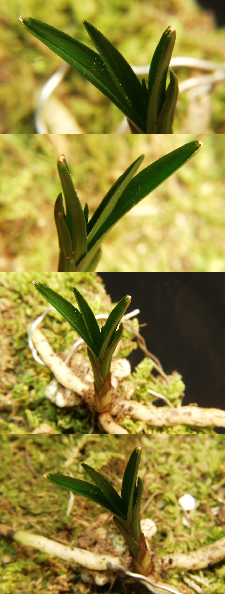 ������ ū������ �� �� �ֽ��ϴ�.