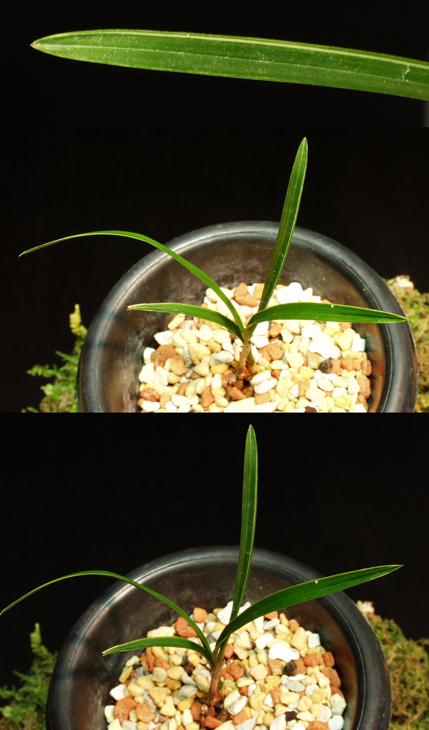 ������ ū������ �� �� �ֽ��ϴ�.