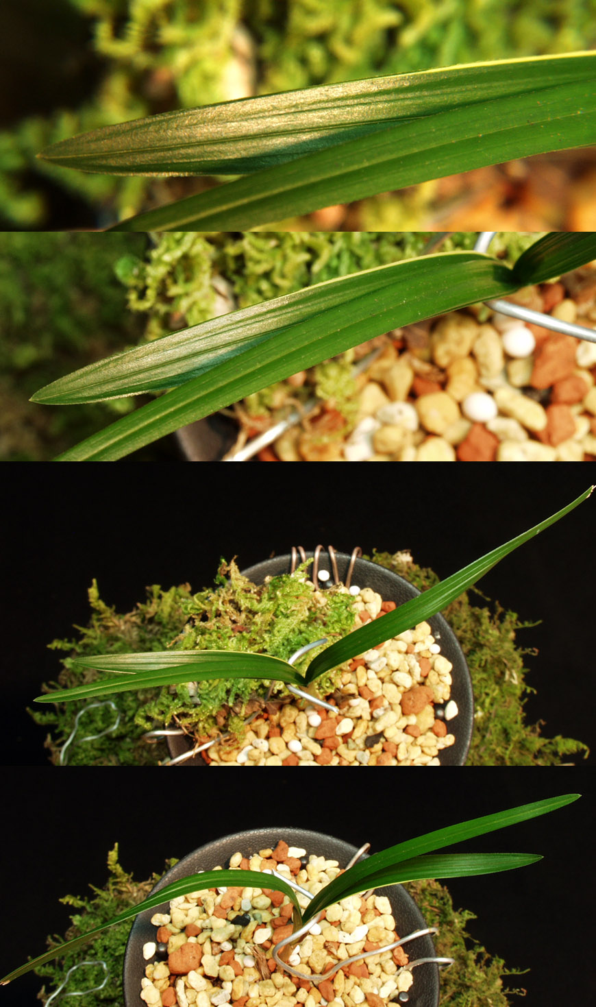 ������ ū������ �� �� �ֽ��ϴ�.