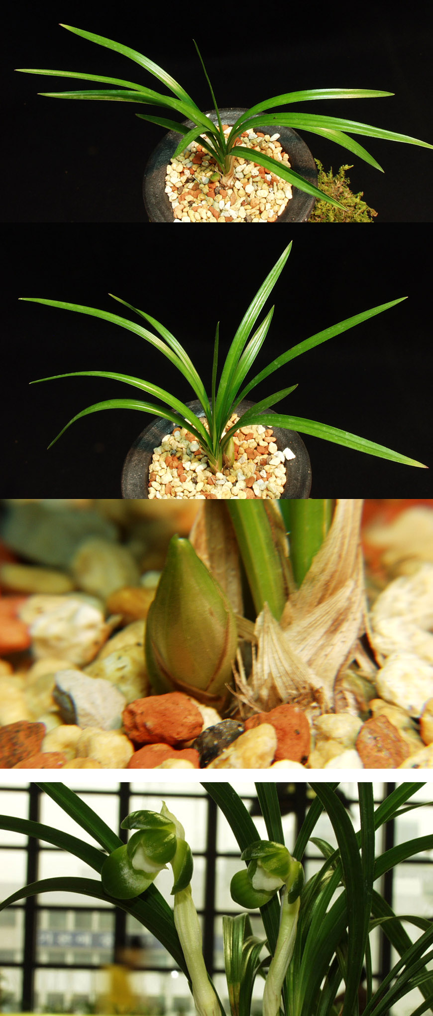 ������ ū������ �� �� �ֽ��ϴ�.