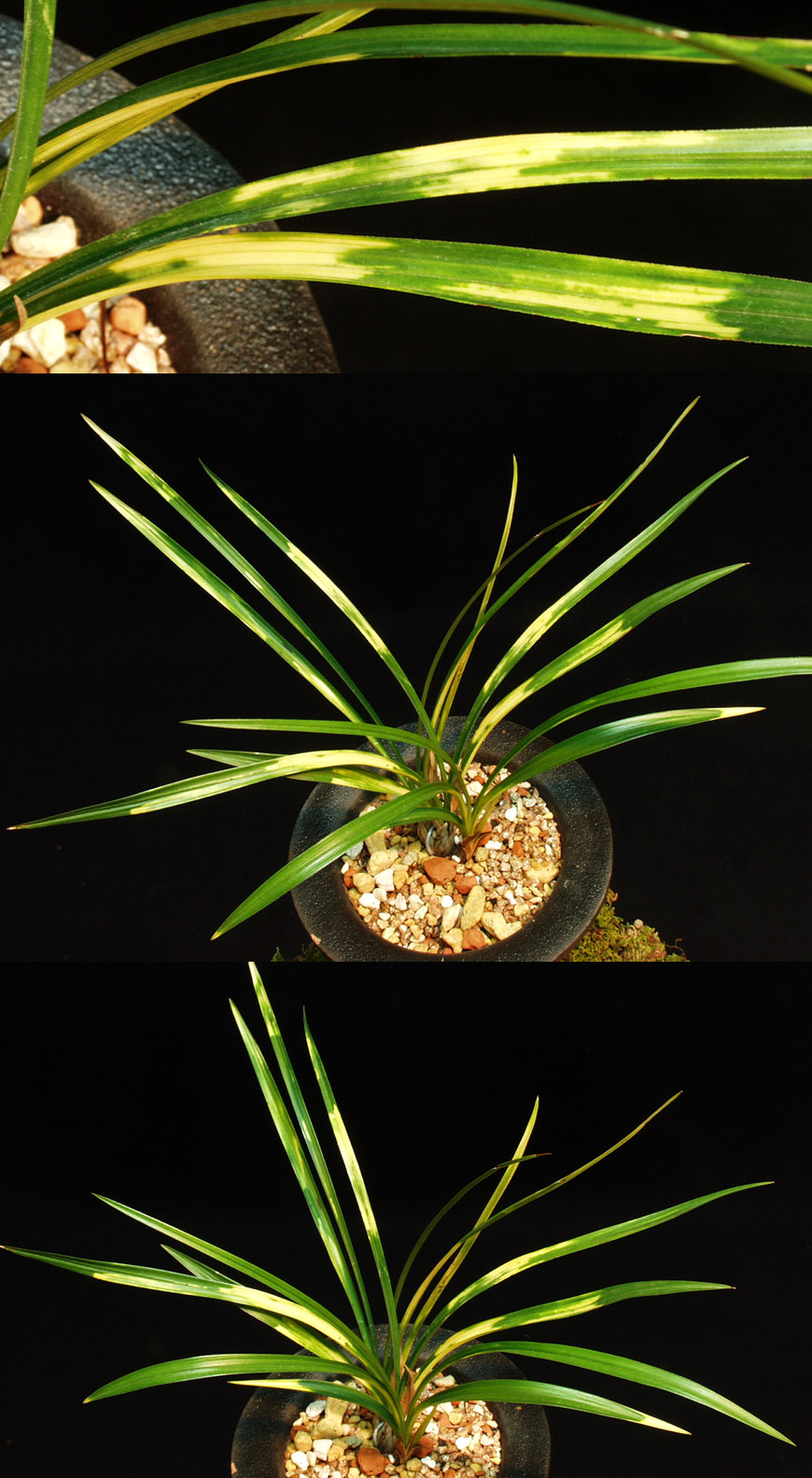 ������ ū������ �� �� �ֽ��ϴ�.