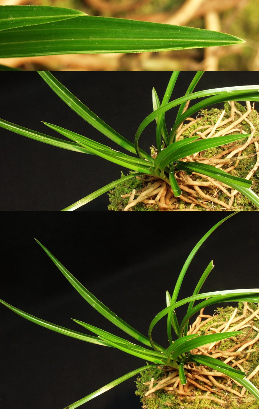 ������ ū������ �� �� �ֽ��ϴ�.