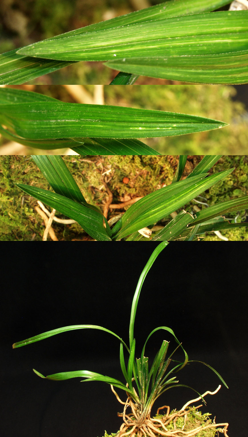 ������ ū������ �� �� �ֽ��ϴ�.