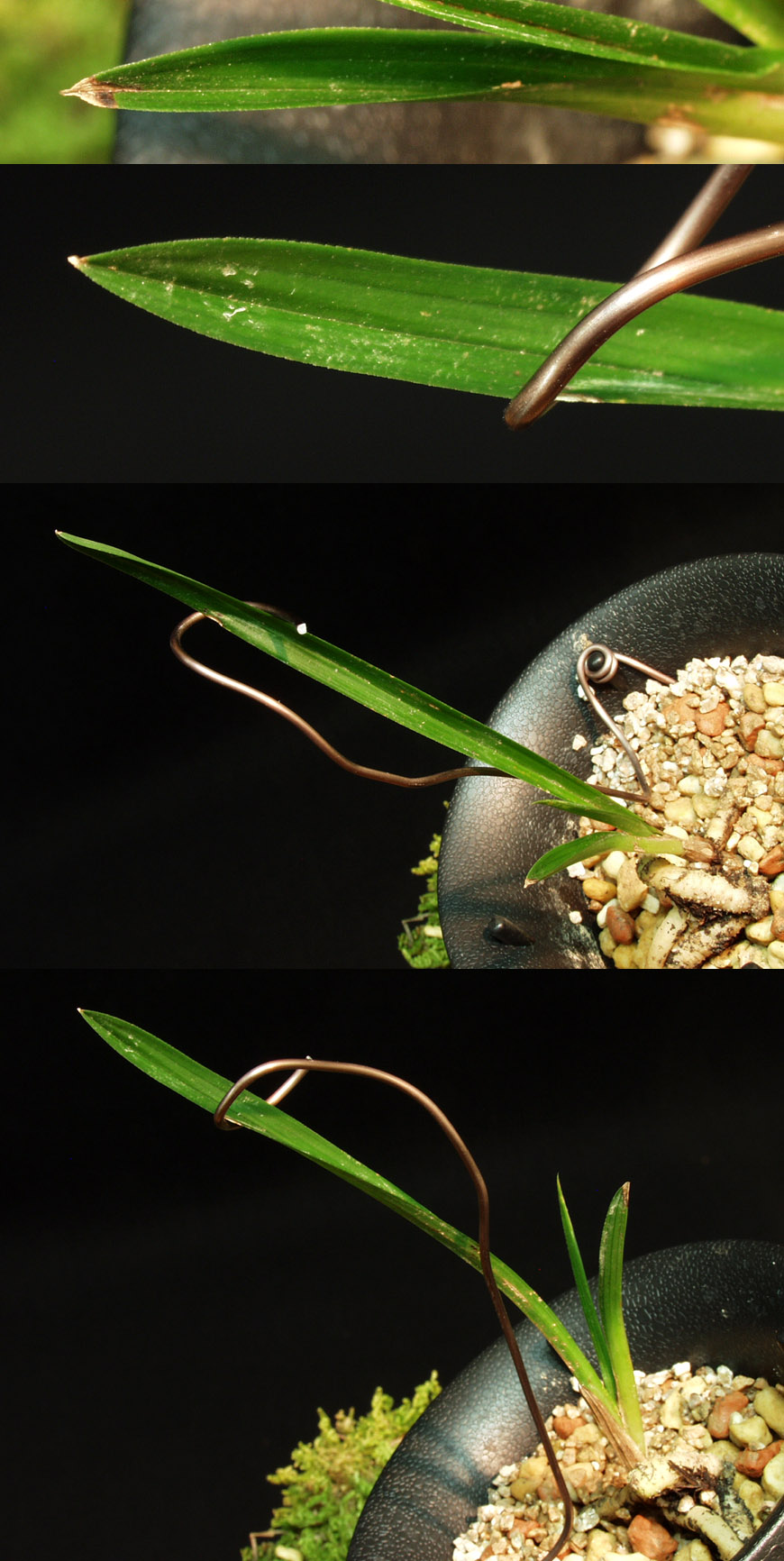 ������ ū������ �� �� �ֽ��ϴ�.