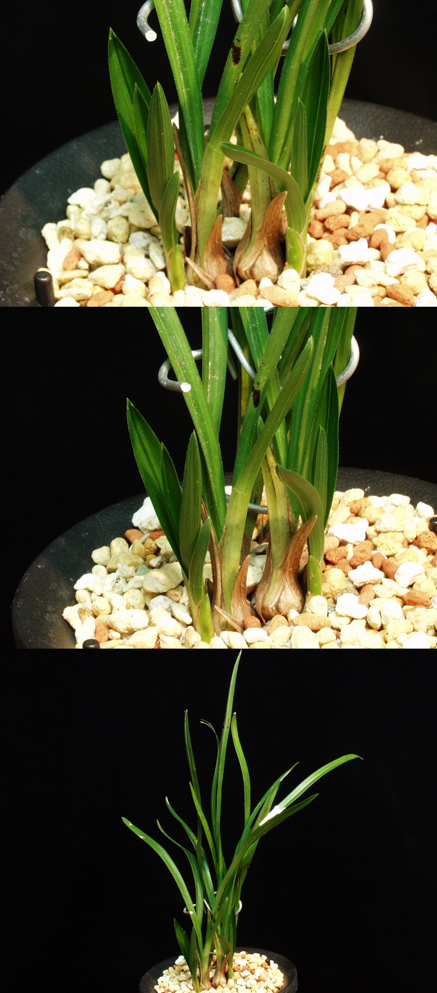 ������ ū������ �� �� �ֽ��ϴ�.