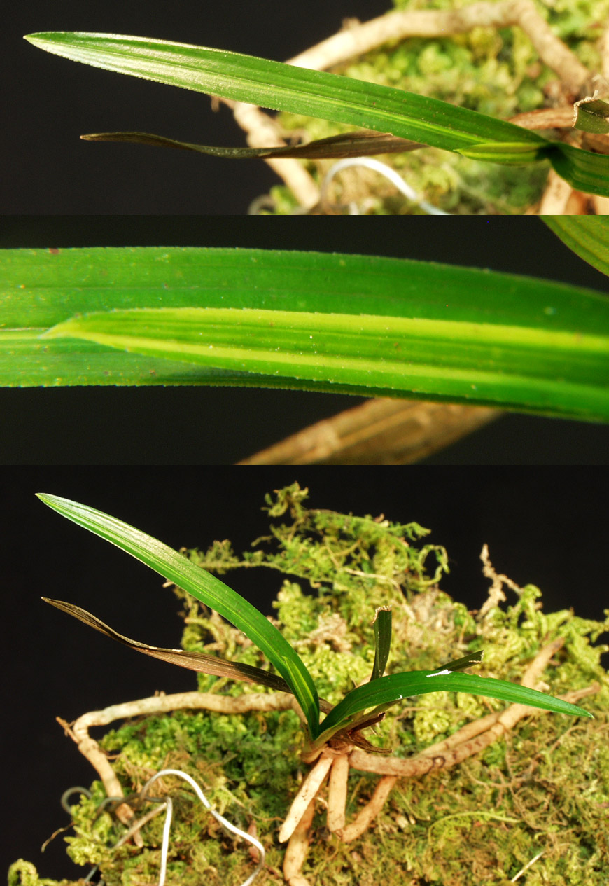 ������ ū������ �� �� �ֽ��ϴ�.