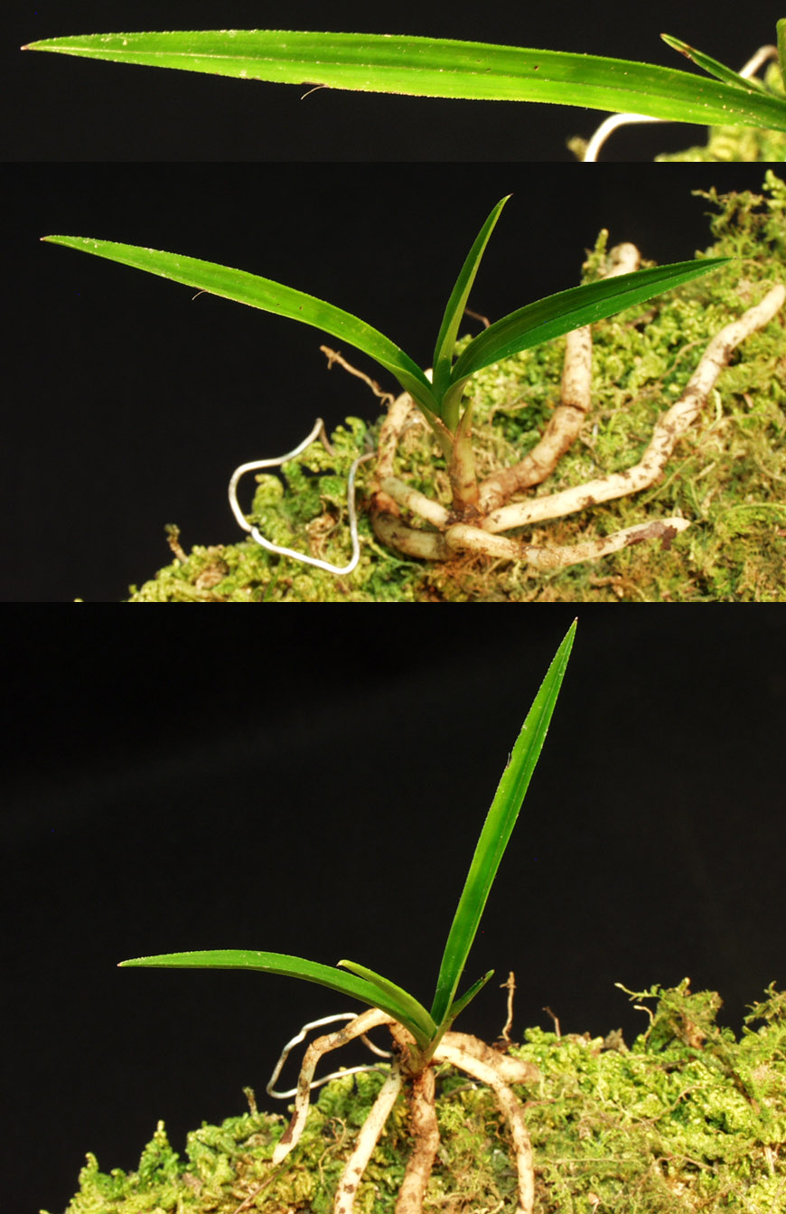 ������ ū������ �� �� �ֽ��ϴ�.