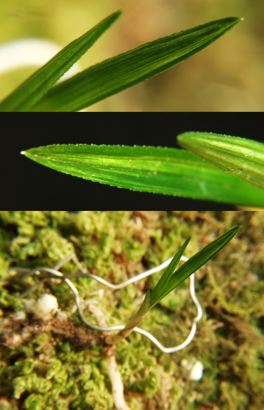 ������ ū������ �� �� �ֽ��ϴ�.