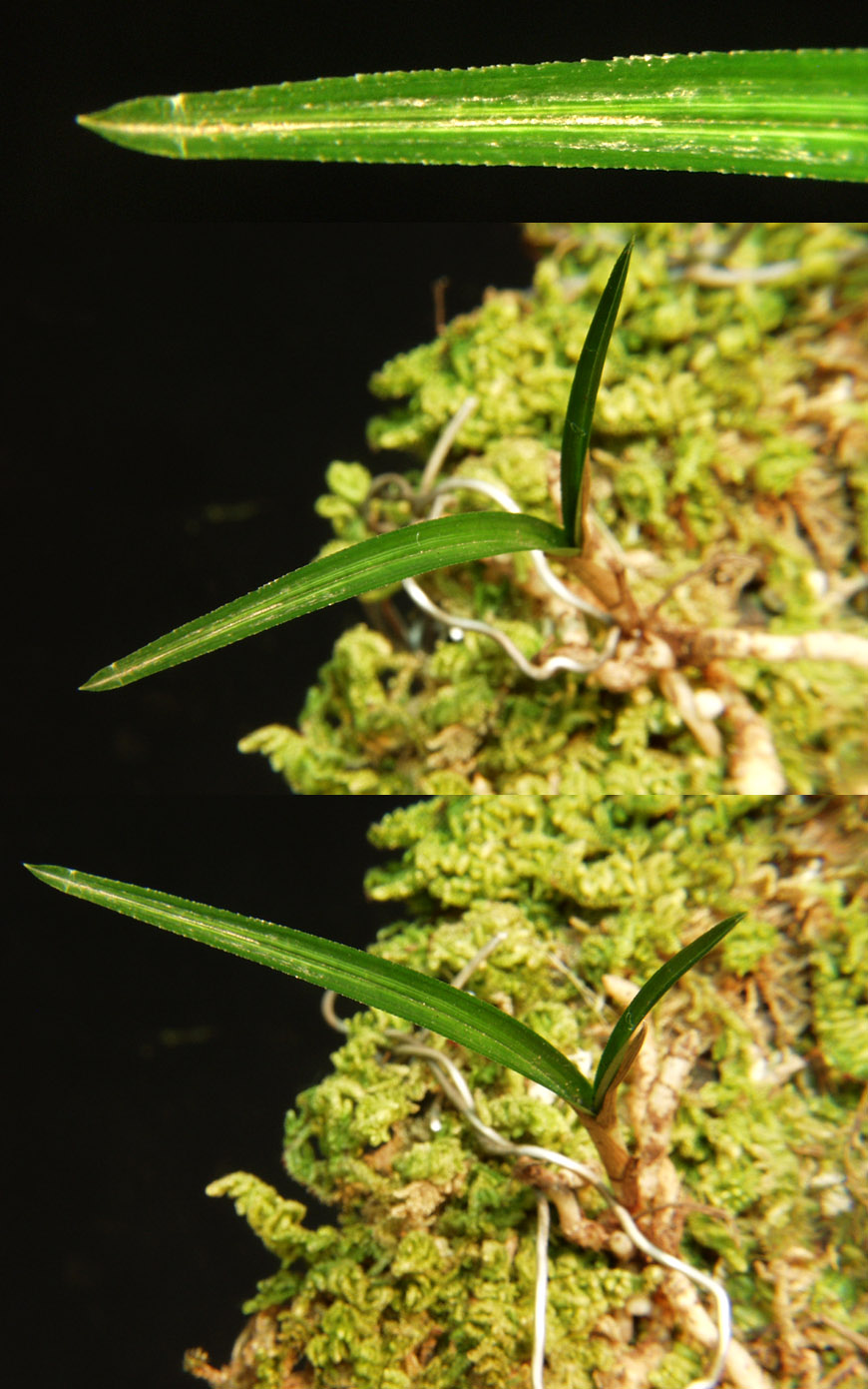 ������ ū������ �� �� �ֽ��ϴ�.