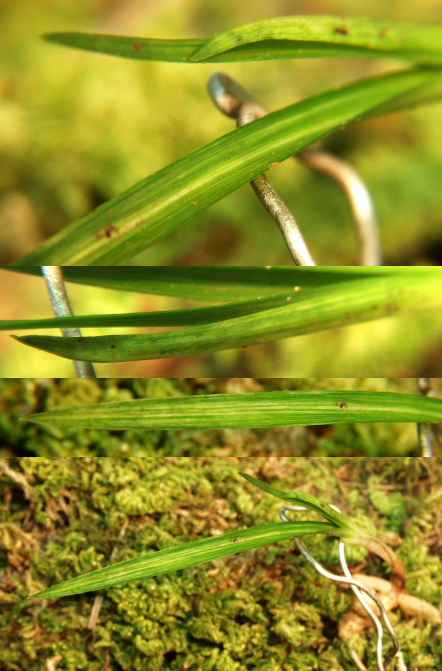 ������ ū������ �� �� �ֽ��ϴ�.