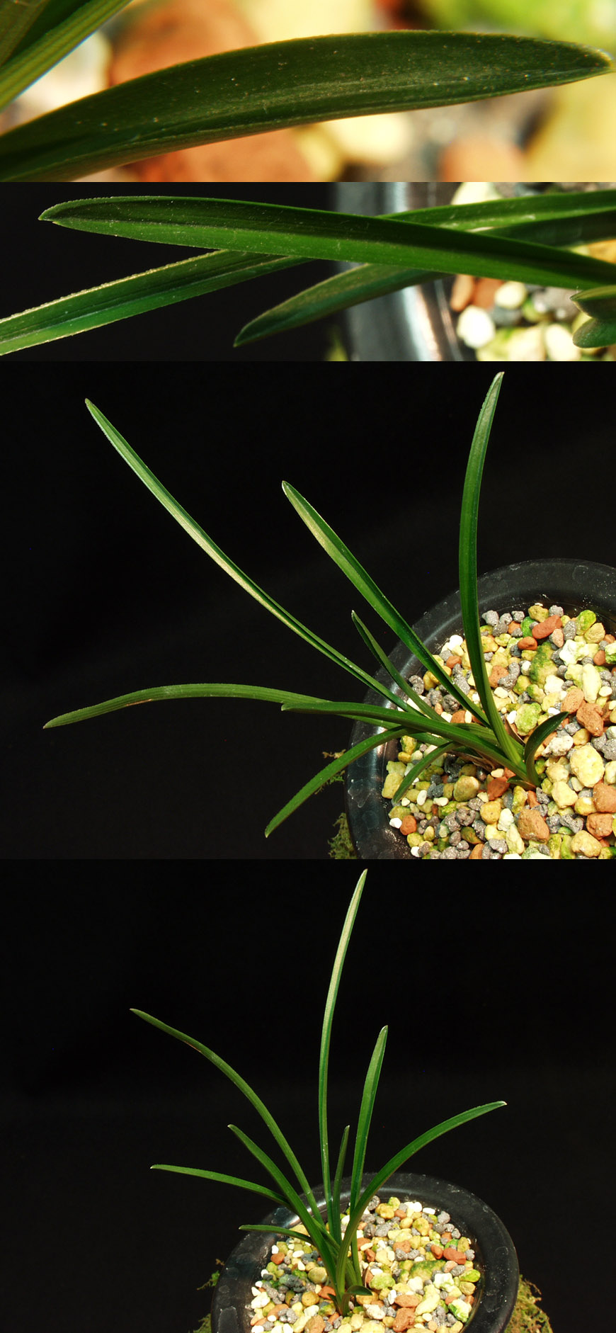 ������ ū������ �� �� �ֽ��ϴ�.