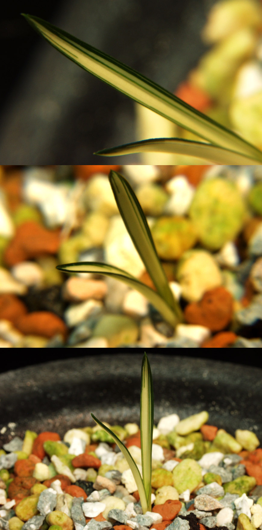 ������ ū������ �� �� �ֽ��ϴ�.