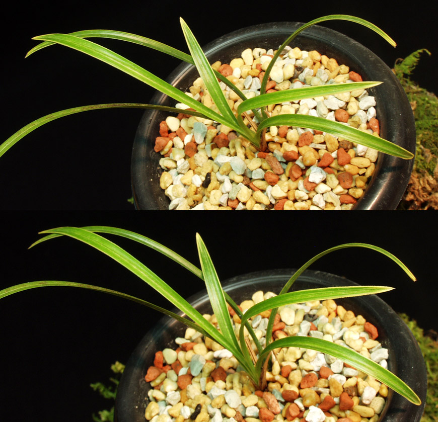 ������ ū������ �� �� �ֽ��ϴ�.