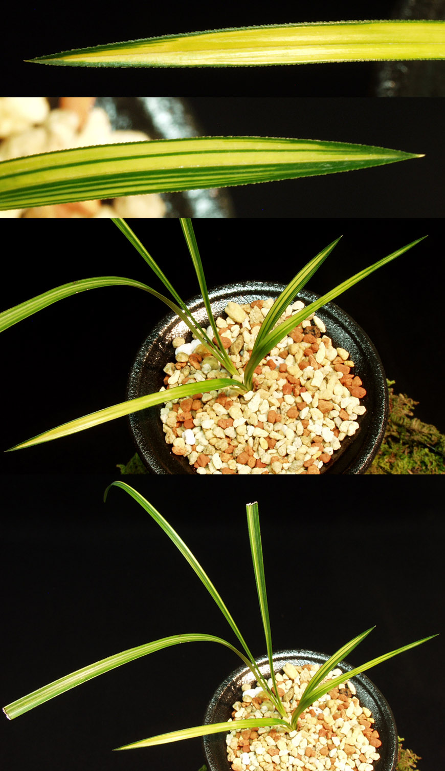 ������ ū������ �� �� �ֽ��ϴ�.