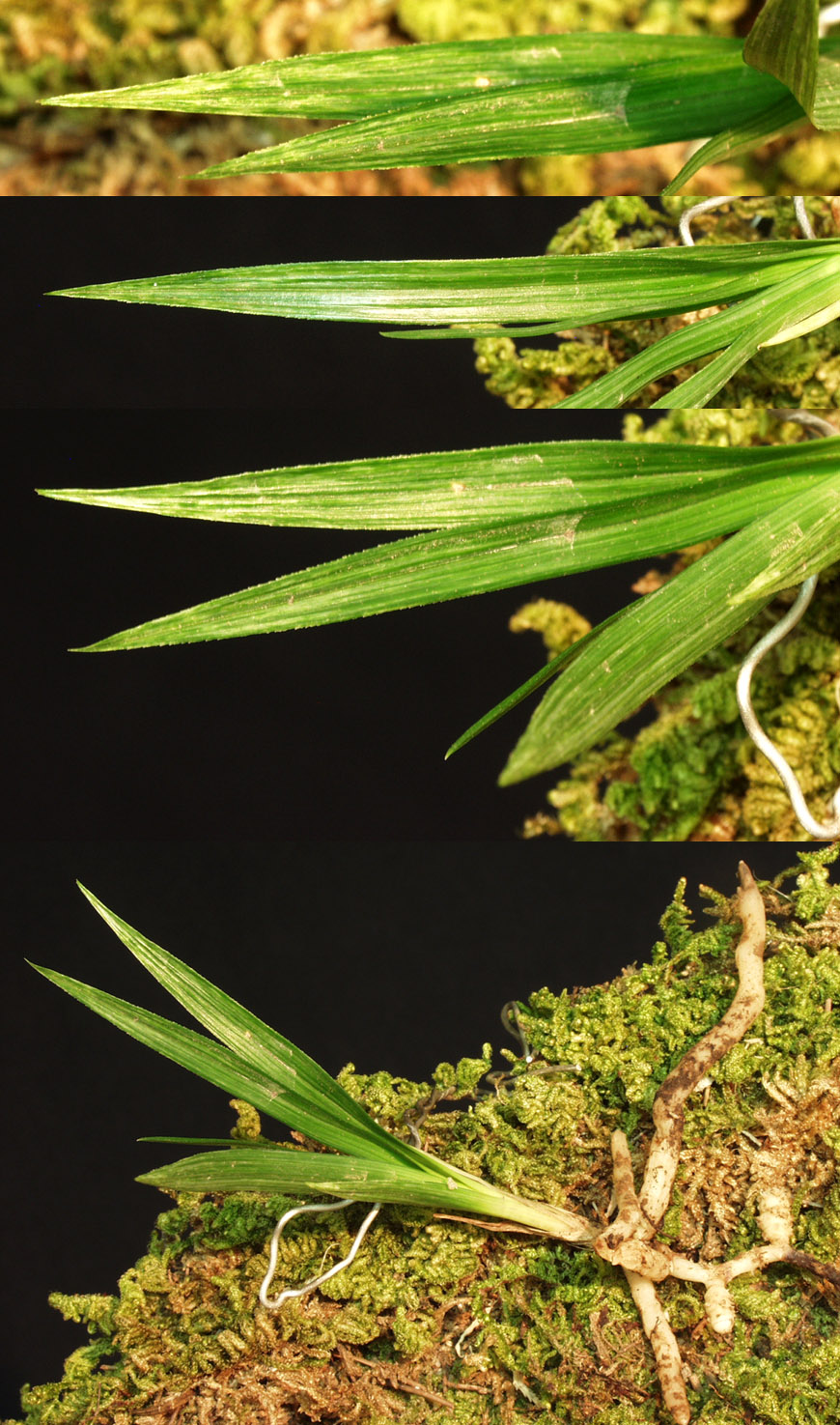 ������ ū������ �� �� �ֽ��ϴ�.