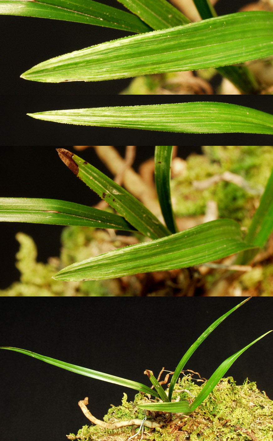 ������ ū������ �� �� �ֽ��ϴ�.