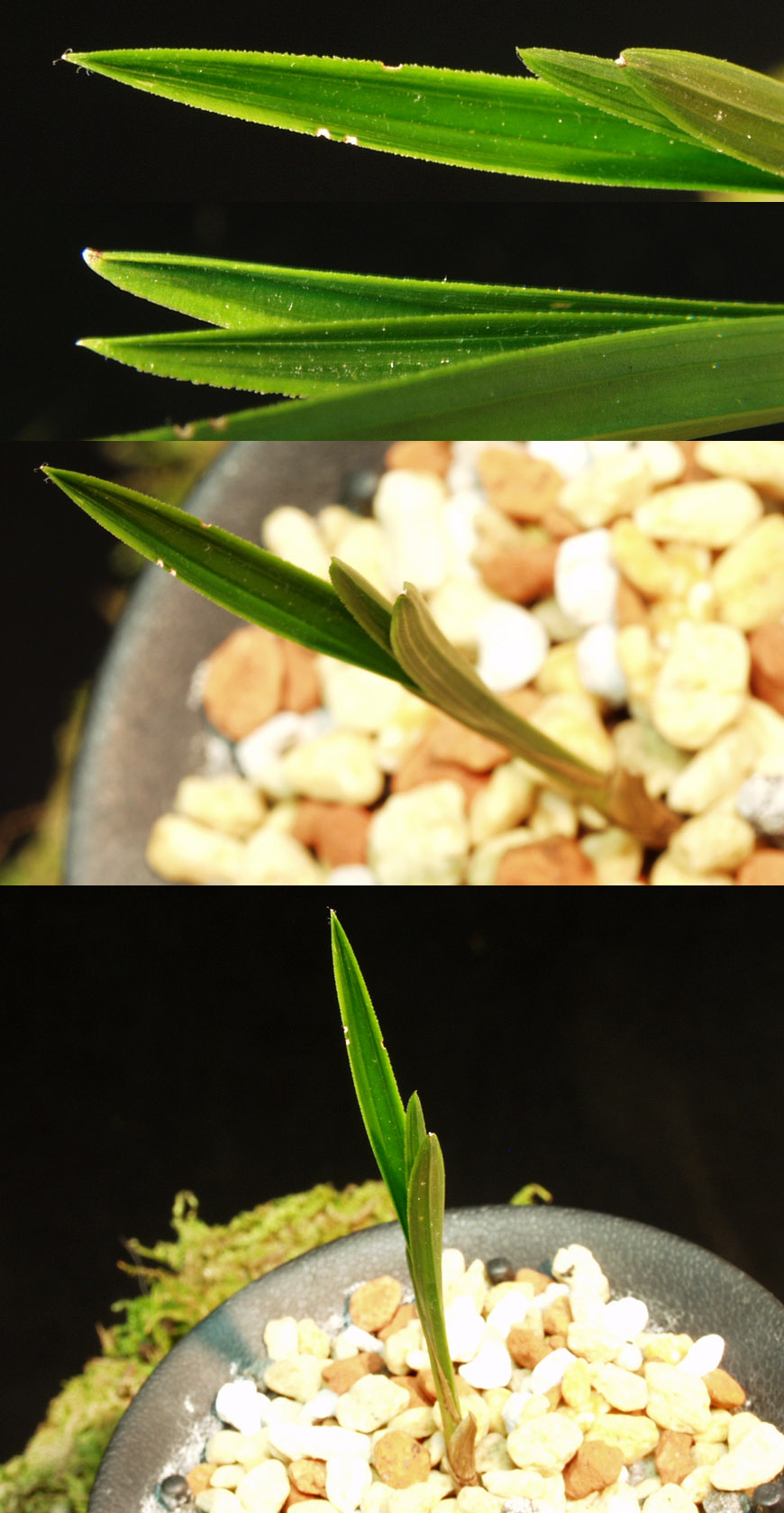 ������ ū������ �� �� �ֽ��ϴ�.