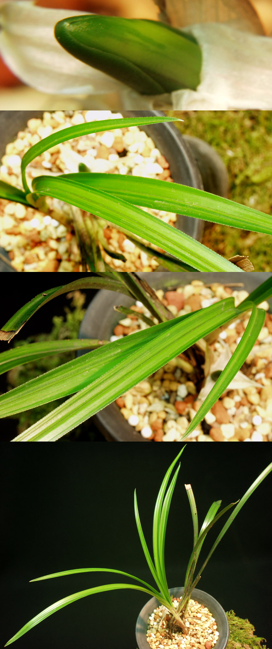 ������ ū������ �� �� �ֽ��ϴ�.